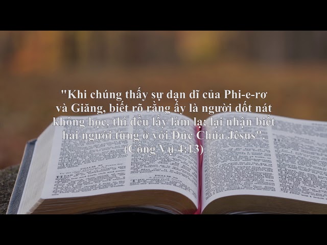 DƯỠNG LINH - Tôi Có Thể Tìm Thấy Sự Can Đảm Phi Thường Từ Đâu?