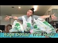 *no budget* DOLLAR TREE HAUL | essentials, organization & beauty items 4/17/2020