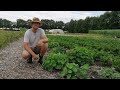 oogstvideo week 27