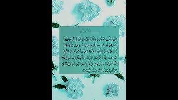 سورة الحجرات- القارئ الشيخ خالد الجليل 🍂🍁
