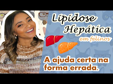 Vídeo: Cirrose E Fibrose Hepática Em Gatos