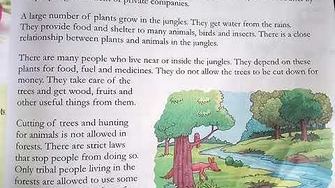 Class- 4 | Subject- Evs | Chapter-  7 |Topic - Roots of Plants | 29-10-2020