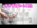 【体外受精で双子妊娠⑤】旦那の本心/首のむくみ/ダウン症・障害/体外受精/13週目