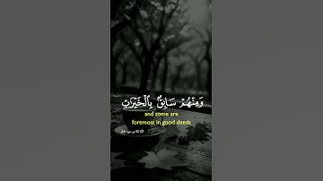 تلاوة مريحة للقلب للقارئ محمد الغزالي #قرآن #اكسبلور #المصحف