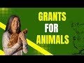 049: Grant Writing for Sanctuaries: From Overwhelmed to Funded with Stephanie Mathers