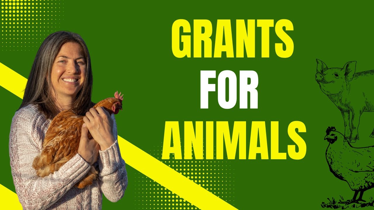 049: Grant Writing for Sanctuaries: From Overwhelmed to Funded with Stephanie Mathers