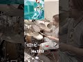 1日1ビート🥁 No.1513 #愛の太陽 #くるり #jpop #drum #drums #drummer #ドラム #ドラマー #1型糖尿病 #typeonediabetes