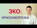 Криоконсервация (заморозка) в программах ЭКО