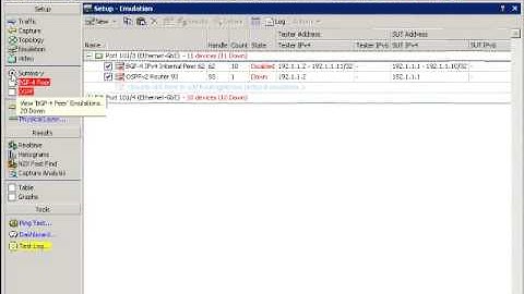 Agilent N2X Scalable BGP Protocol Emulation - Part 2 - Creating BGB Peers