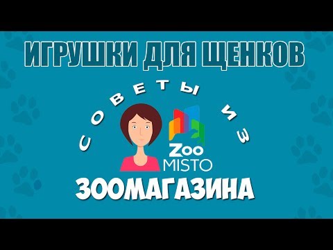 Видео: Почему игрушки из натурального каучука лучше всего подходят для вашего щенка?