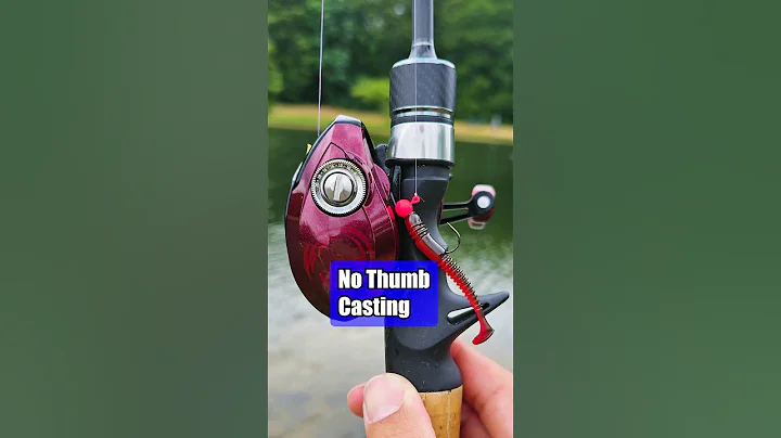 The Ultimate Ultralight Baitcasting Reel: No Thumb Needed! - DayDayNews