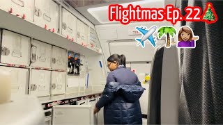 Life Of A Flight Attendant: COME FLY WITH ME PT. 3 | 25 Days of Flightmas ✈