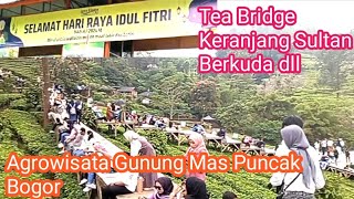 Liburan Lebaran 1445 H ke Agrowisata Gunung Mas Puncak Bogor | Tea Bridge,Keranjang Sultan dll