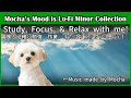 Lo-Fi Hip Hop BGM Study/Work/Relax [勉強/作業/リラックスBGM] Minor Collection