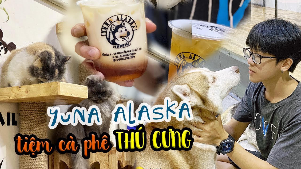 đia điểm ăn uống Update 2022 Dễ Thương hết nấc cùng dàn thú cưng \