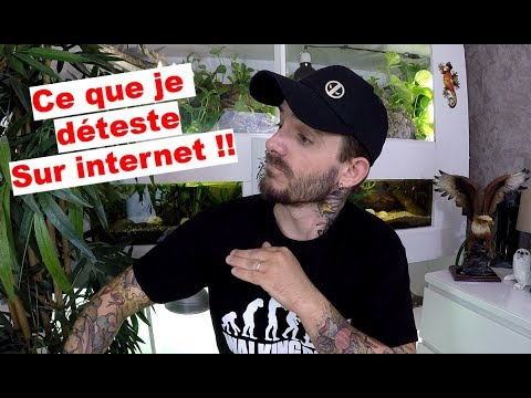 snake reptiles pictures La connerie humaine sur internet ! Que du bonheur ...