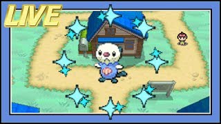 [ISHC #19] LIVE! Shiny Oshawott After 6,498 SRs [White] [FTQ #1]