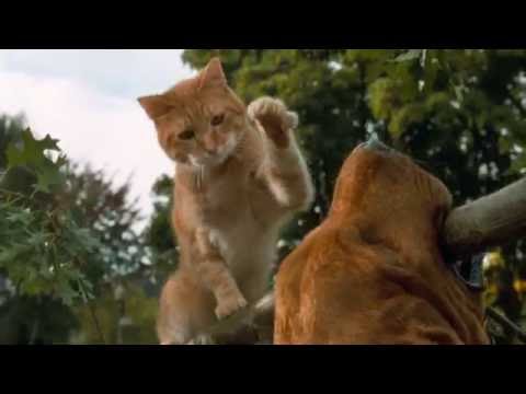 cats-&-dogs---trailer