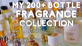 My 200+ Bottle Perfume Collection