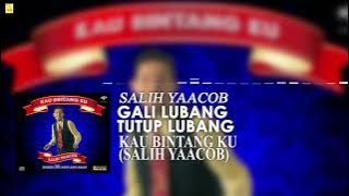 Salih Yaacob - Gali Lubang Tutup Lubang ( Stream Video)