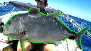 100lb+ Ulua (CRAZY fight)