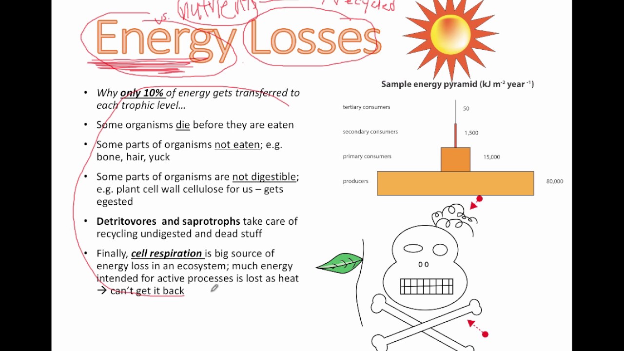 Energy Notes On Energy Losses