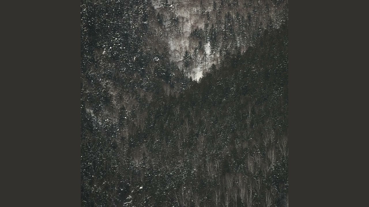 Snowk - Iramante