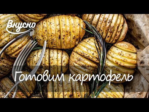 Блюдо из картофеля по рецептам Антуана Огюста Пармантье - Готовим Вкусно 360!