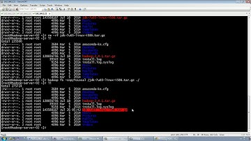 10 Hdfs的功能体验及shell命令行操作
