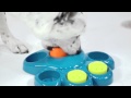 美國Outward Hound-寵物益智經典狗掌藏食玩具-大 product youtube thumbnail