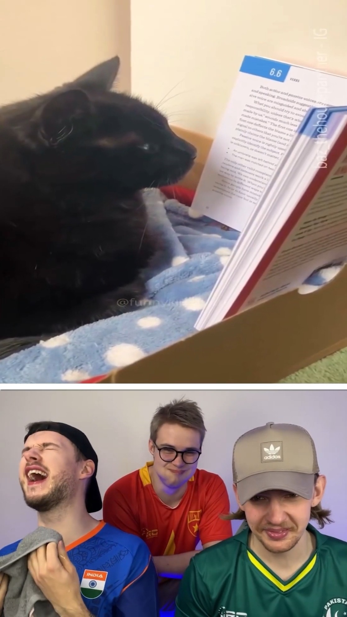 Best laughs of 2025 ?