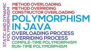 Celebrity 55 - Polymorphism in Java (Hindi/Urdu) Wealth
