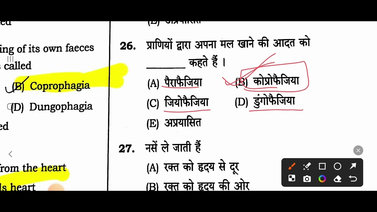 HSSC PREVIOUS YEARS PAPER SERIE  4  VLDA PAPER DETAILED SOLUTION