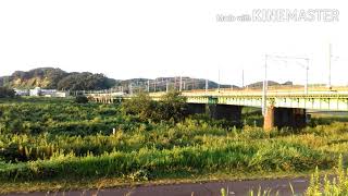 【南武線を貨物列車が走る⁉️】JR南武線を走行するEF210形(桃太郎)
