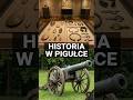 Lekcja historii w Sochaczewie.