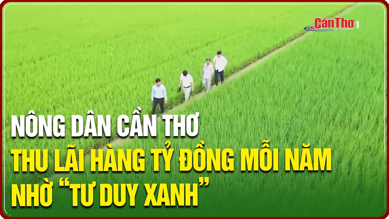 Nông dân Cần Thơ thu lãi hàng tỷ đồng mỗi năm nhờ “tư duy xanh” | NNST
