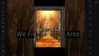 Make an Autumn Effect Fast in Photoshop #photoshop #Shorts