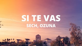 Sech, Ozuna - Si Te Vas (Letra / Lyrics)