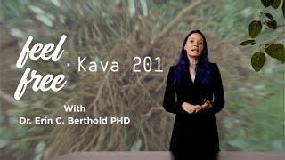 What is Kava? - Kava 201