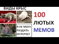 100 ЛЮТЫХ МЕМОВ