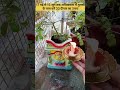 17 मई से 15 जून तक अधिकमास में तुलसी के पास करें 33 दीपक का उपाय अवश्य करें l adhik maas Deepak upay