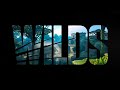 Fortnite Chapter 4 Season 3 New Teaser Trailer || WILDS || NINJ