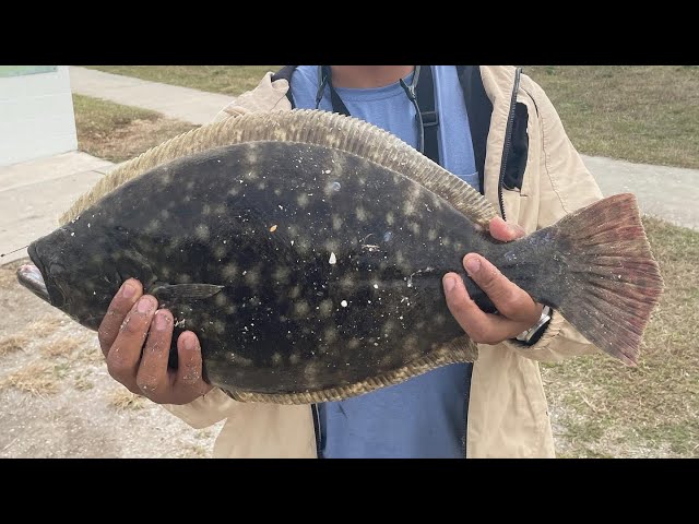 How to Easily Catch Flounder During Winter! 