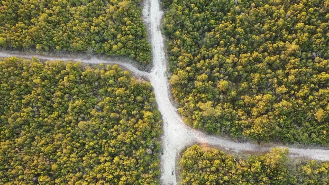 Dzika Polska- wybrzeże #1