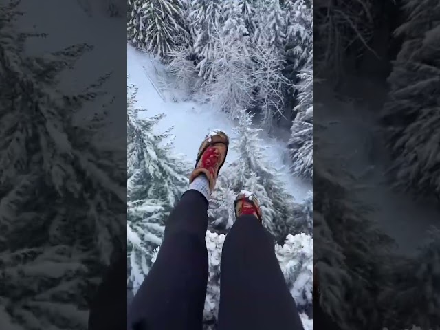 Epic Winter Zipline in Whistler, BC