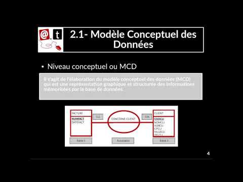 Vidéo: Définition Du Contenu D'un Ensemble De Données Minimal Pour Les Lésions Cérébrales Acquises à L'aide D'une Procédure Delphi