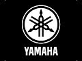 Yamaha F5лс Planet-watersport.ru