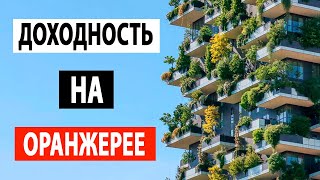 Анализ цен в новом ЖК Оранжерея: Прогнозы и перспективы. Июль 2023