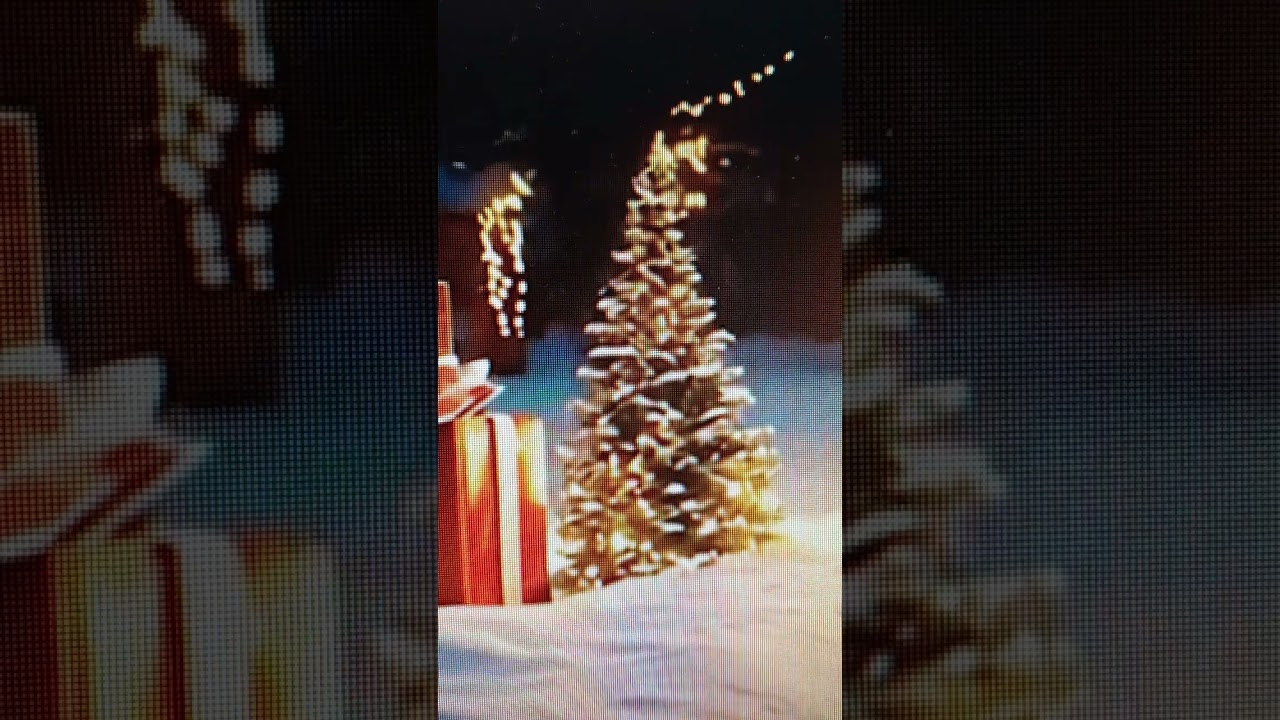 Марина Пиза . 