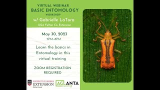 Entomology Webinar video